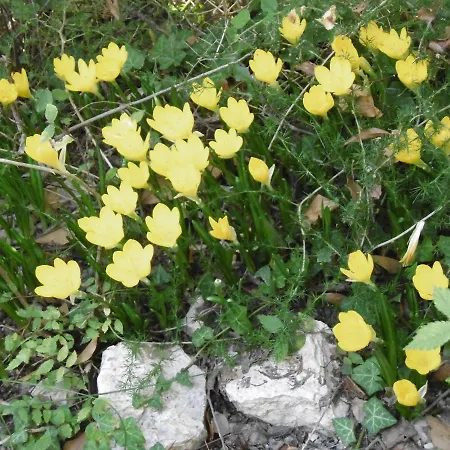 Hotel Croce Bianca Brusson