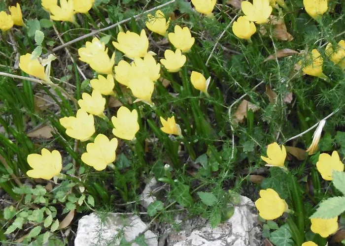 Hotel Croce Bianca Brusson